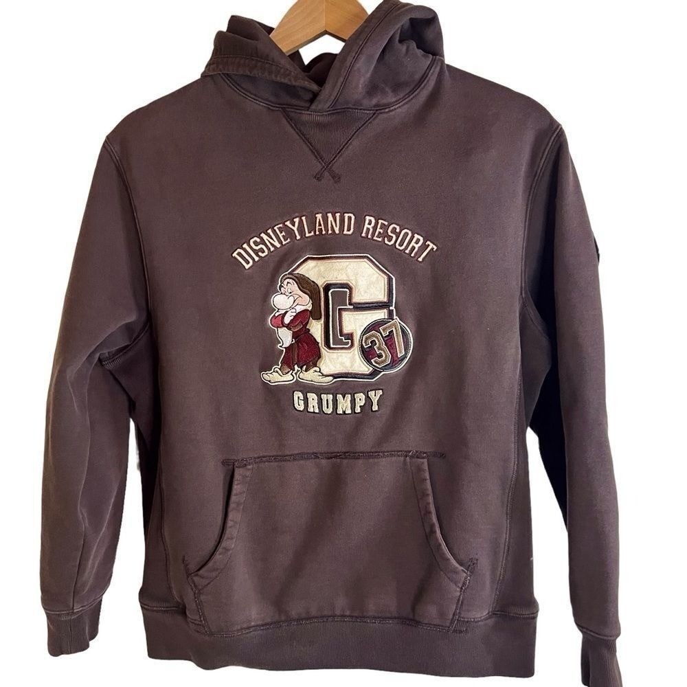 Disneyland Resort Grumpy 37 Hooded Heavy Sweatshirt Size Small Dark Brown